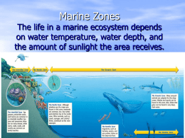 Marine Zones The life in a marine ecosystem depends on water