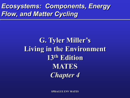 04_Miller Ecosytems Energy Flow - Environmental