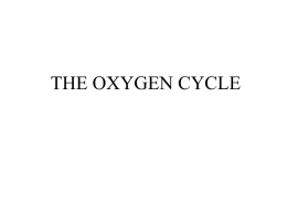 the oxygen cycle