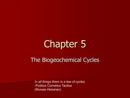 biogeochemical cycles PP