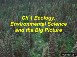 Ecology, Environmental Science and the Big Picture