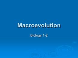 Macroevolution - San Diego Unified School District