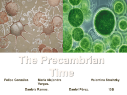 Precambrian Era 10Bx - Ms. Marcos` Biology Wiki