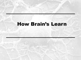 Brain-Based Learning / Teaching