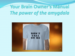 Brain Owner*s Manual The power of the amygdala