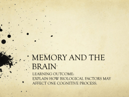 MEMORY AND THE BRAIN