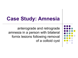 Case Study: Amnesia - University of Florida