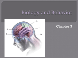 Biology and Behavior - Brooklyn High School
