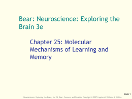 Ch 25 - Molecular Mechanisms of Learning and Memory