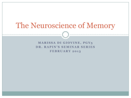 The Neuroscience of Memory - Albert Einstein College of