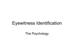 Eyewitness Identification1 - Edmonton`s Criminal Defence Lawyers