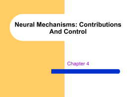Neural Mechanisms: Contributions And Control