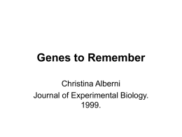 Alberni Genes to Remember