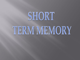 Presentation2 short term memory