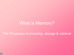 What is Memory PP