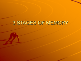 3 STAGES OF MEMORY
