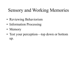 05. Sensory and Working Memories (Ch.2)