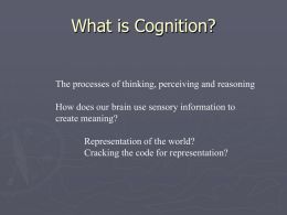 Basic cognition lecture