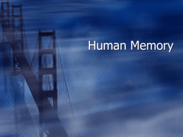 Human Memory - billycsperiod7