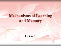 Mechanisms of Learning and Memory. Role of Conscious and
