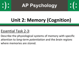 2-3-physiology_of_memory _2