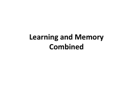 Learning and Memory Review Student PPTs