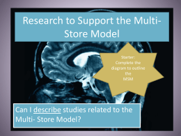 Research to Support the Multi-Store Model