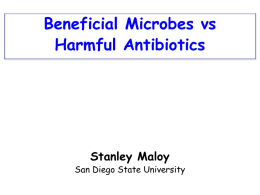Beneficial Microbes and Harmful Antibiotics