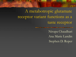 A metabotropic glutamate receptor variant functions as a taste receptor