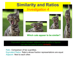 Similarity and Ratios Investigation 4