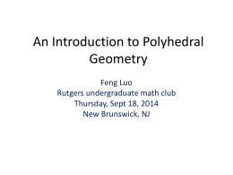 Polyhedral Geometry