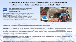 MARMICROTOX project: effects of microplastics in marine