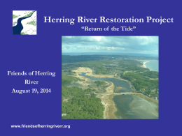 Return of the Tide - Friends of Herring River