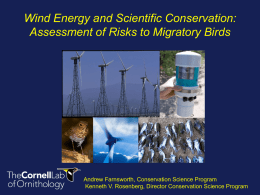 Wind Energy and Bird Conservation