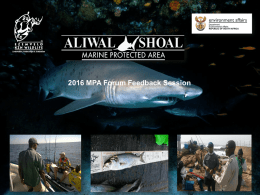 Aliwal Shoal Forum