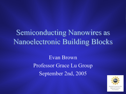 Semiconducting Nanowires as Nanoelectronic Building Blocks