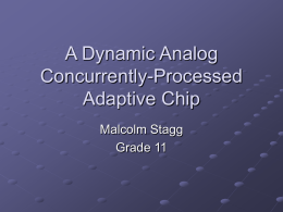 A Dynamic Analog Concurrently-Processed Adaptive Chip