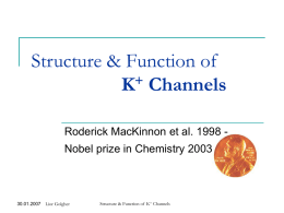 K + Channels - Weizmann Institute of Science