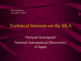 Technical Interests on the SKA
