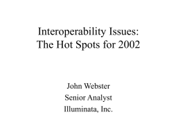 Interoperability Issues: The Hot Spots for 2002
