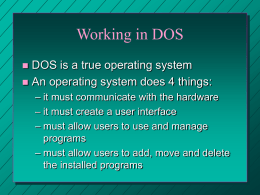 Working in DOS