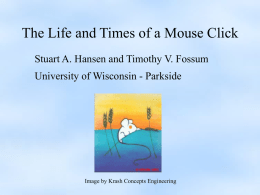 The Life and Times of a Mouse Click