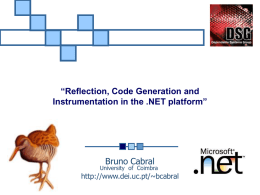 Reflection, Code Generation and Instrumentation in the .NET platform