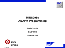 MINS298c ABAP/4 Programming
