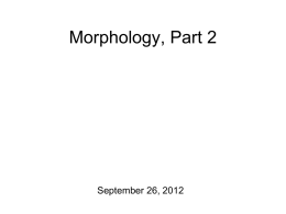 8-Morphology II - Bases Produced