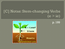 [C] Notas: Stem-changing Verbs (e > ie)