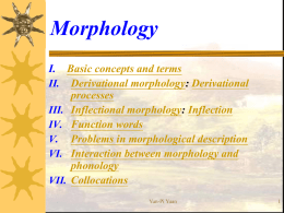 Morphology