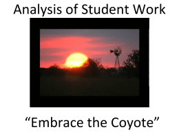 Analysis of Student Work