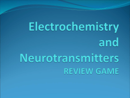 REVIEW GAME Electrochemistry and Neurotransmitters