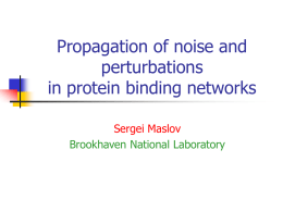 Binding equilibrium in Protein